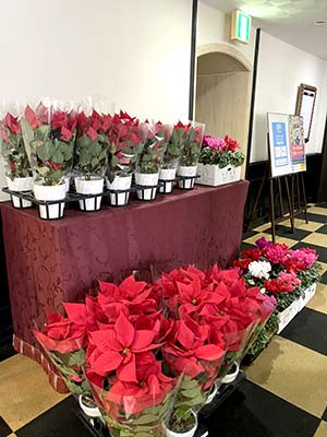 IMG_3069（色補正）.jpg